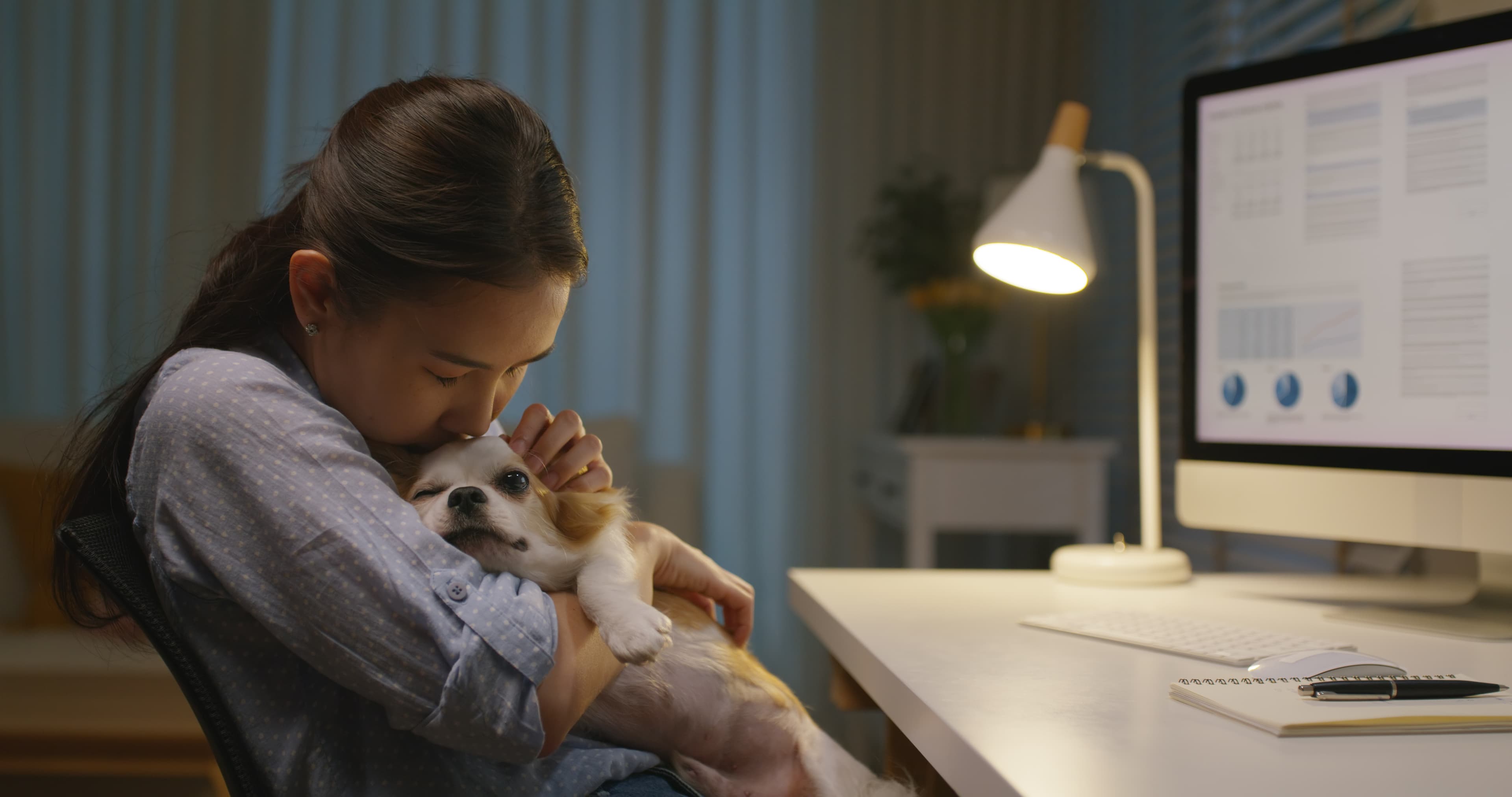 Pet parent in first-class with dog
