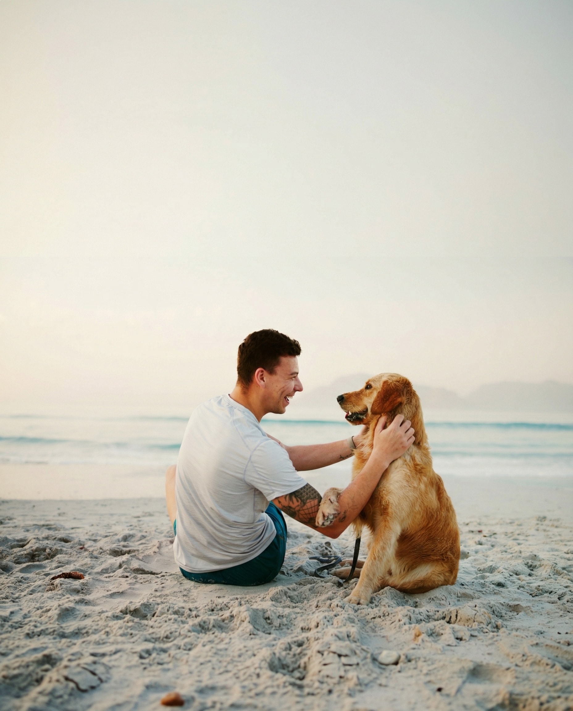 Pet parent preparing for international travel