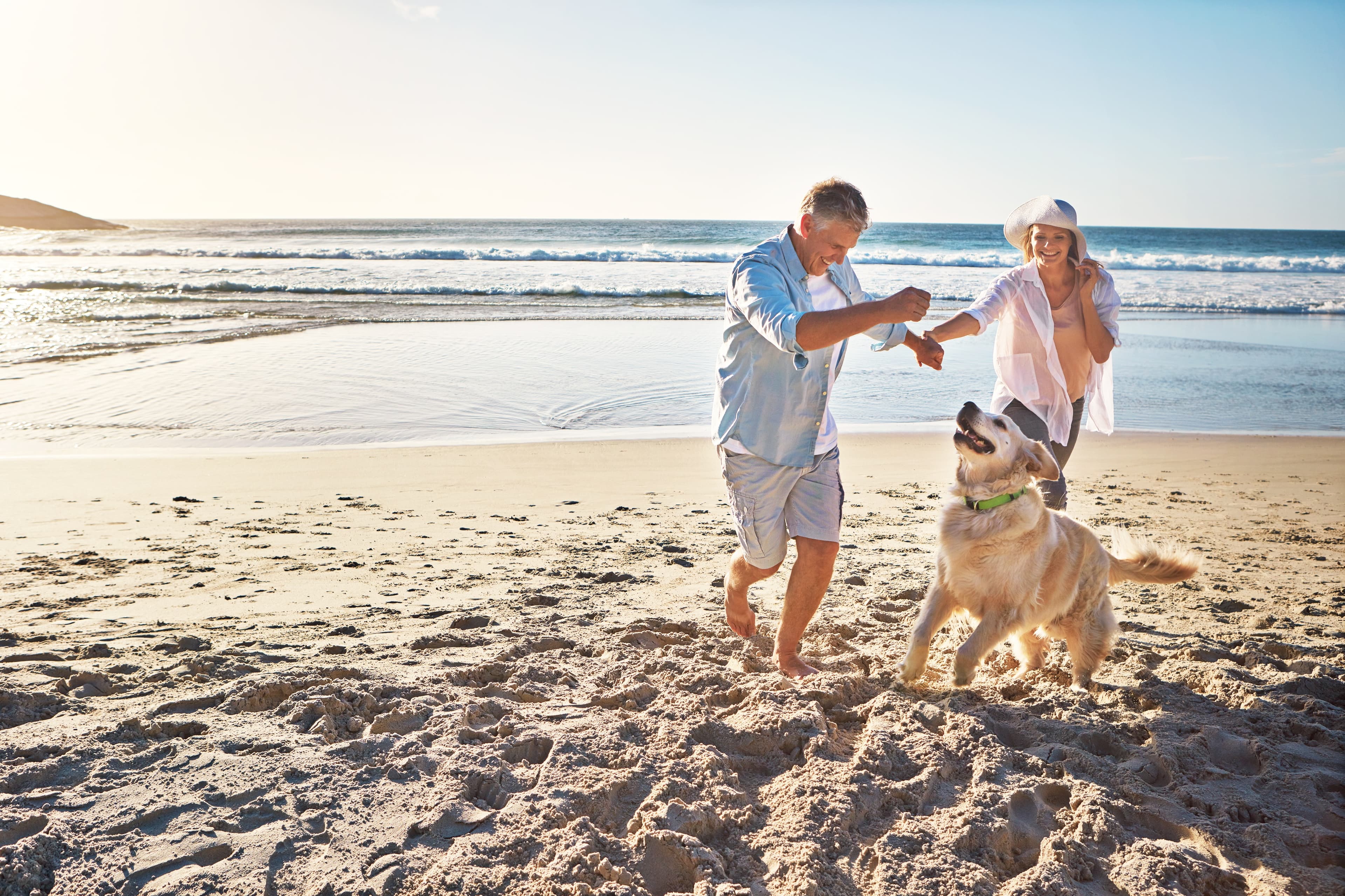 Happy pet parents with their dog at the beach