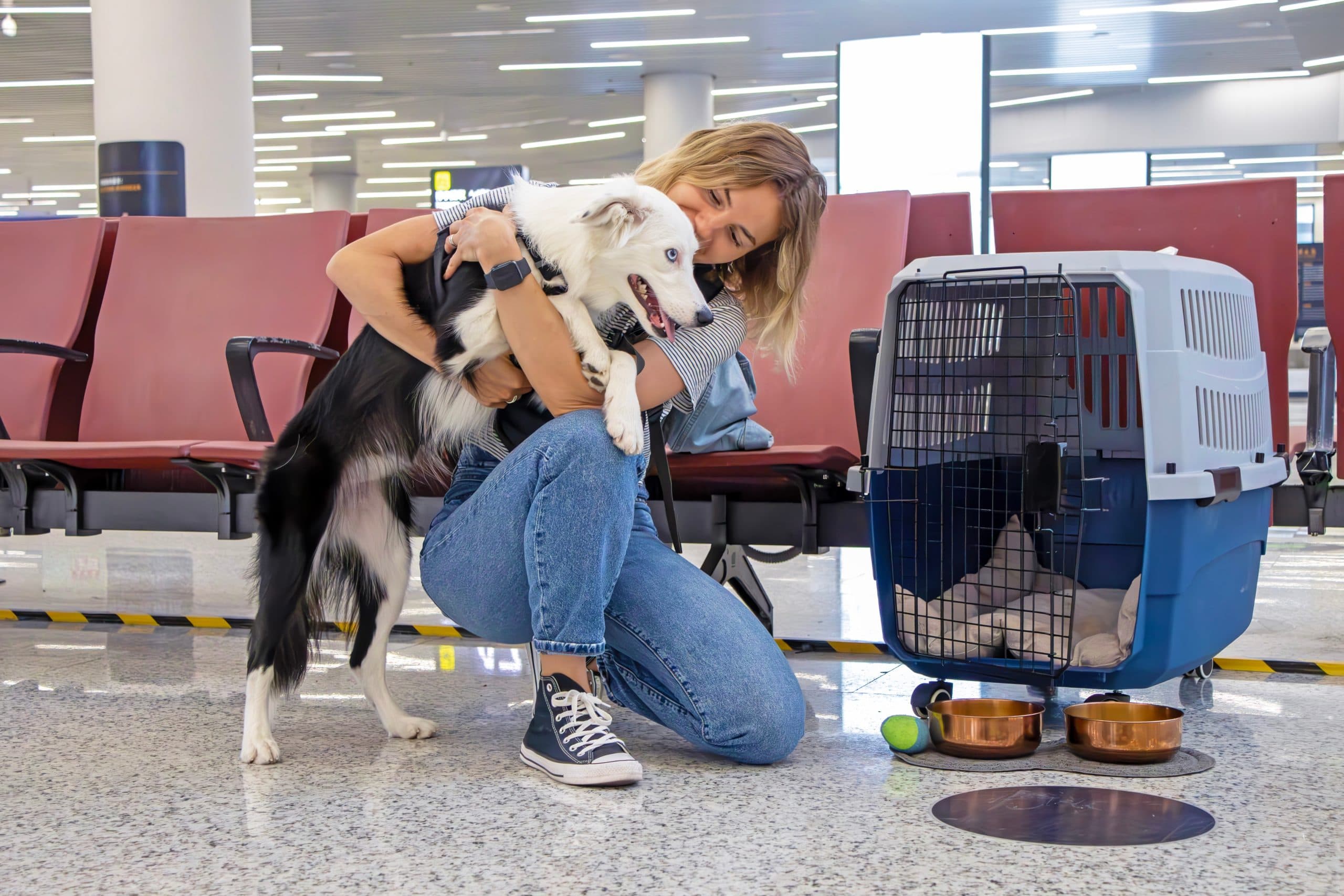 Air Canada Pet Policy 2026: Flying with Your Dog or Cat on Air Canada