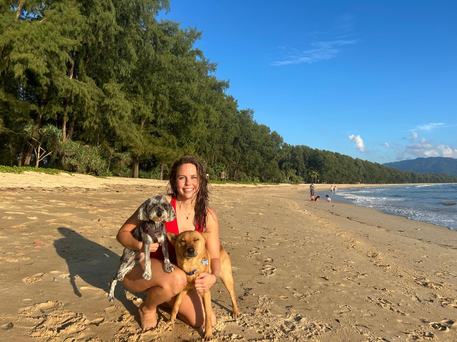 can I take my dog to Thailand