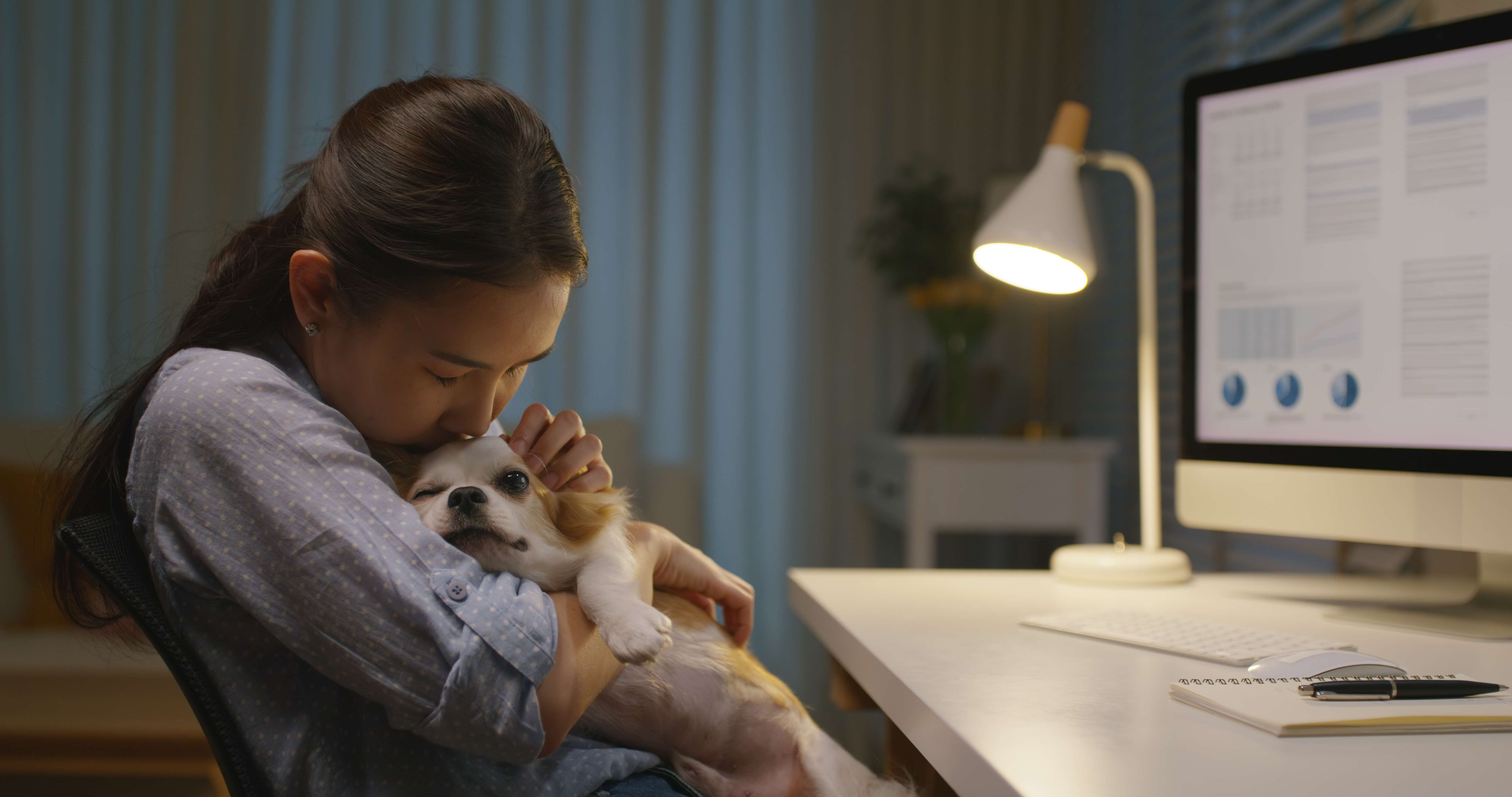Pet parent in first-class with dog